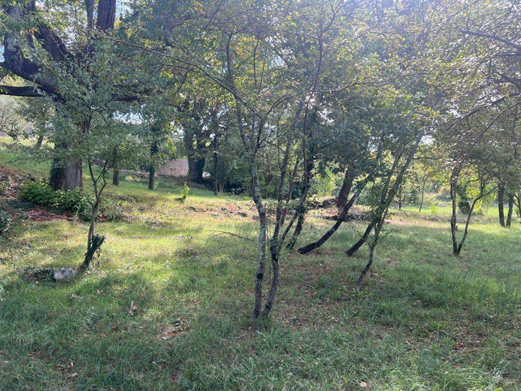 Terrain à SAINT-JEAN-DE-MARUEJOLS-ET-AVEJAN