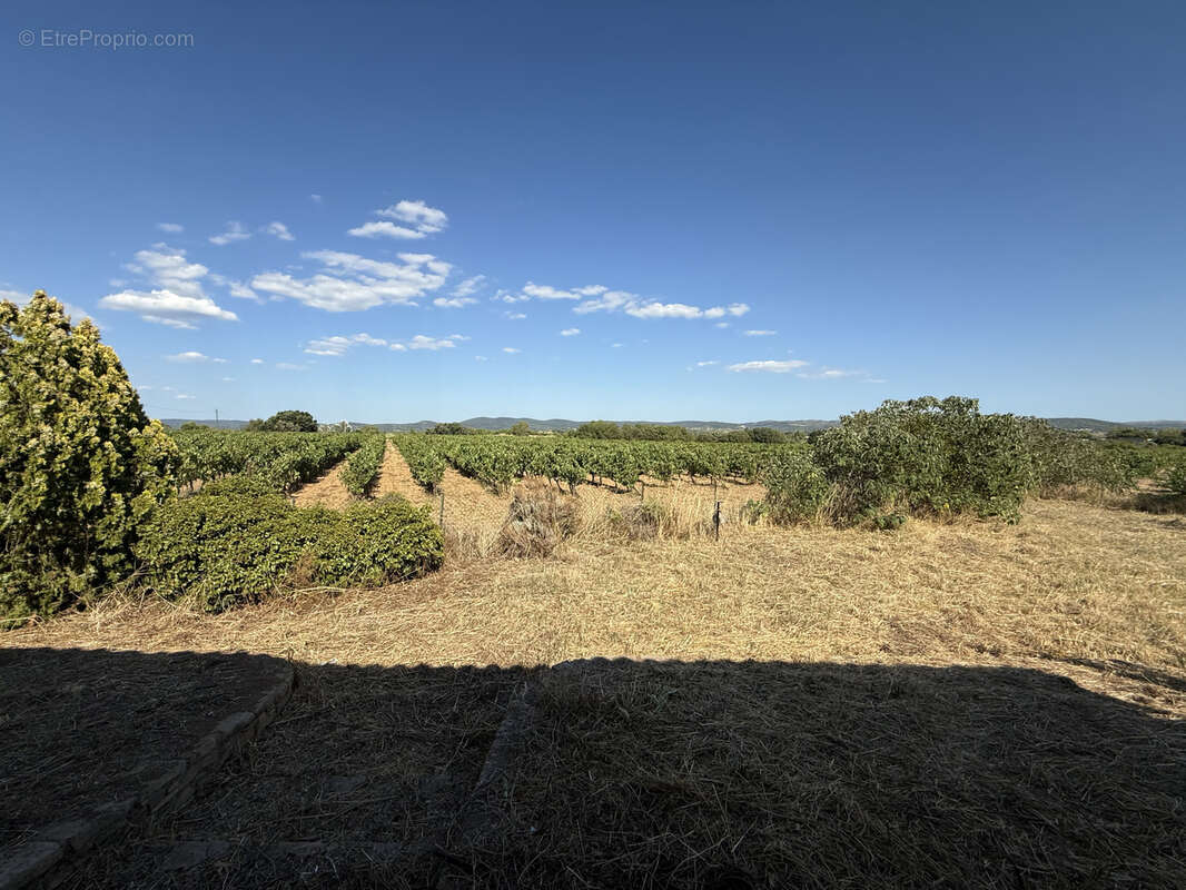 Maison à SAINT-ANDRE-DE-SANGONIS