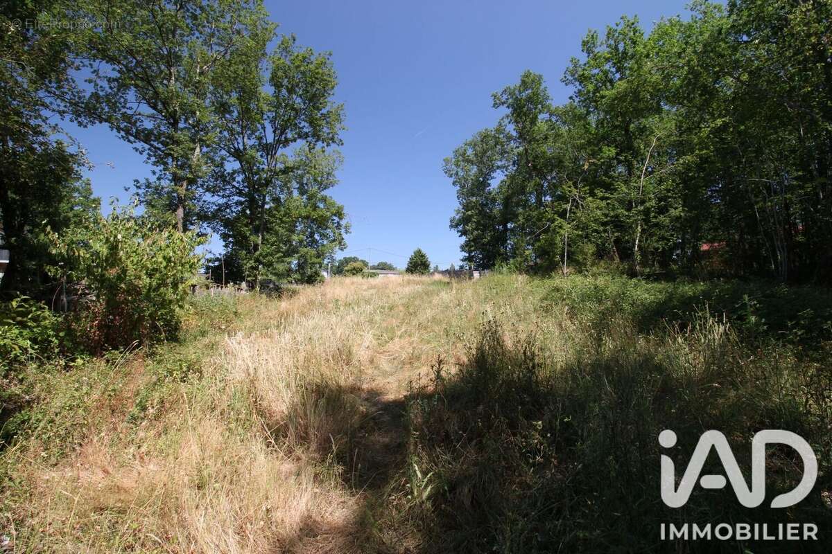 Terrain 14982 m² à Montdurausse  - photo 2
