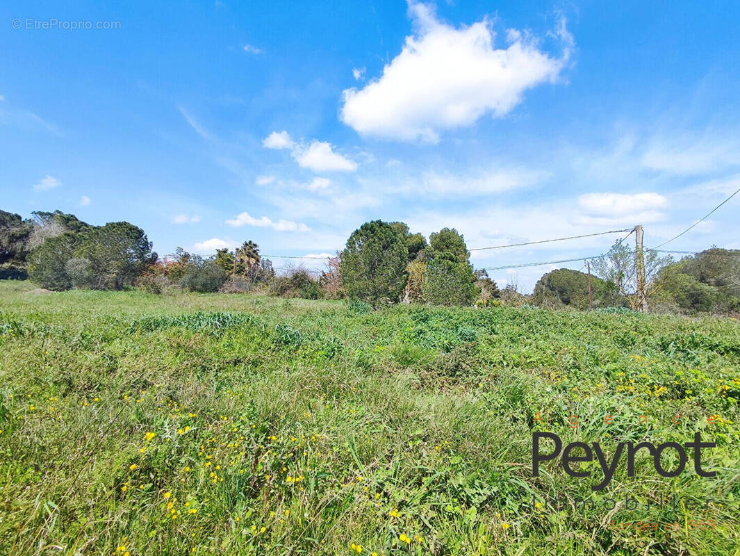 Terrain à PERPIGNAN