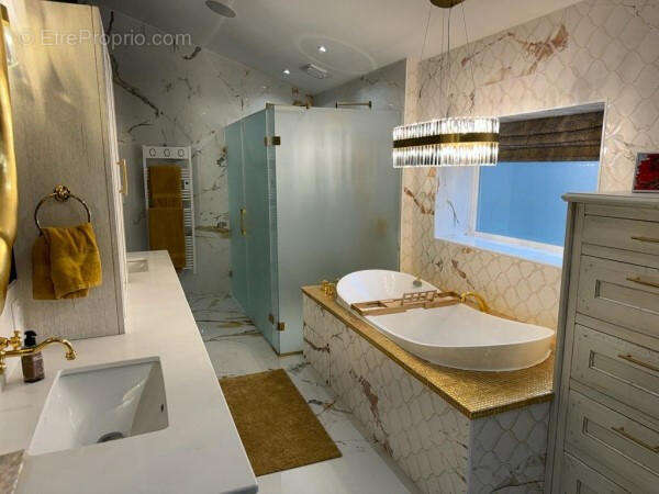 SB master ground floor - Maison à CHENON