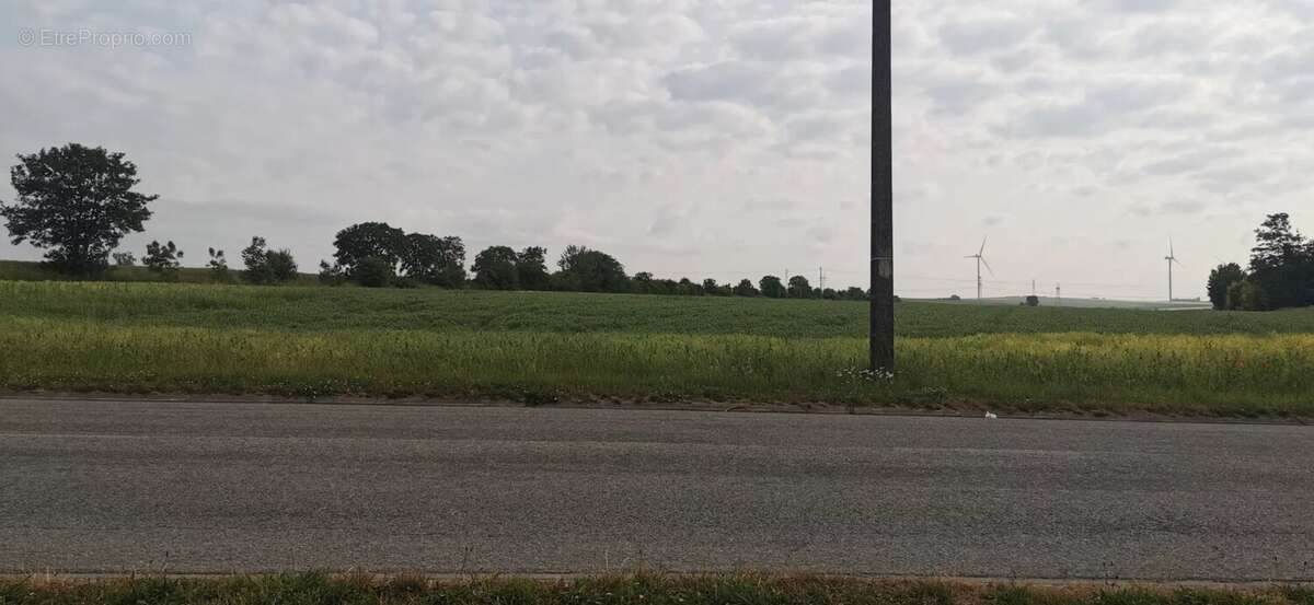 Terrain à SAINTE-MAURE
