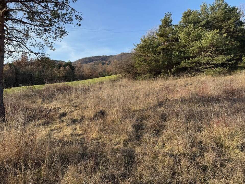 Terrain à TALLARD