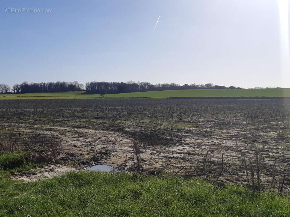 Terrain 447 m² à Grenade  - photo 3