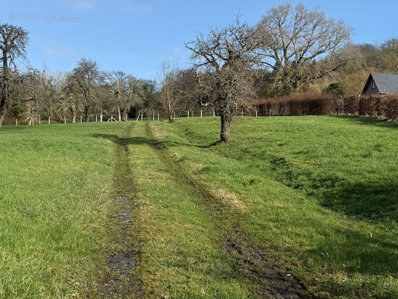 Terrain à PONT-L'EVEQUE