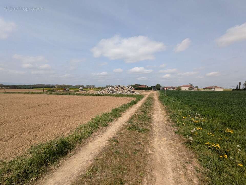 Terrain à ARS-SUR-FORMANS