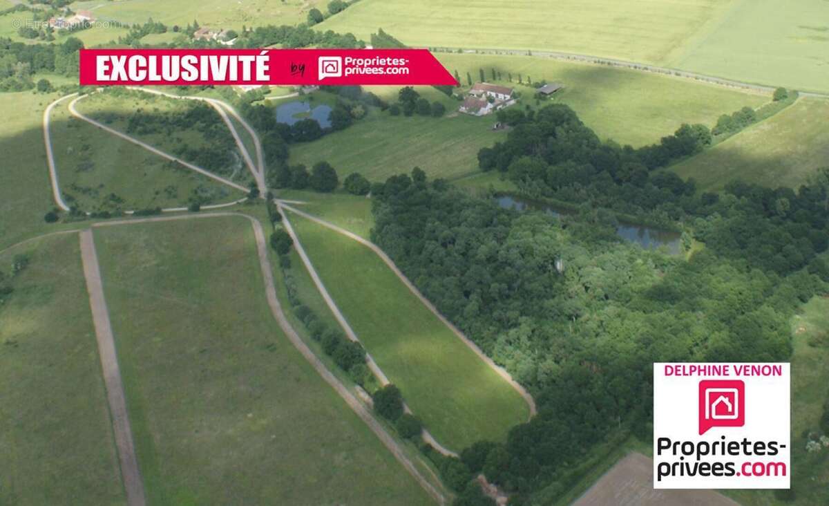 Exclusivité - Propriété avec beaucoup de cachet proche de Tigy ; Longère, Ecuries, piste d'entrainement, prés, bois et plan d'ea - photo 16