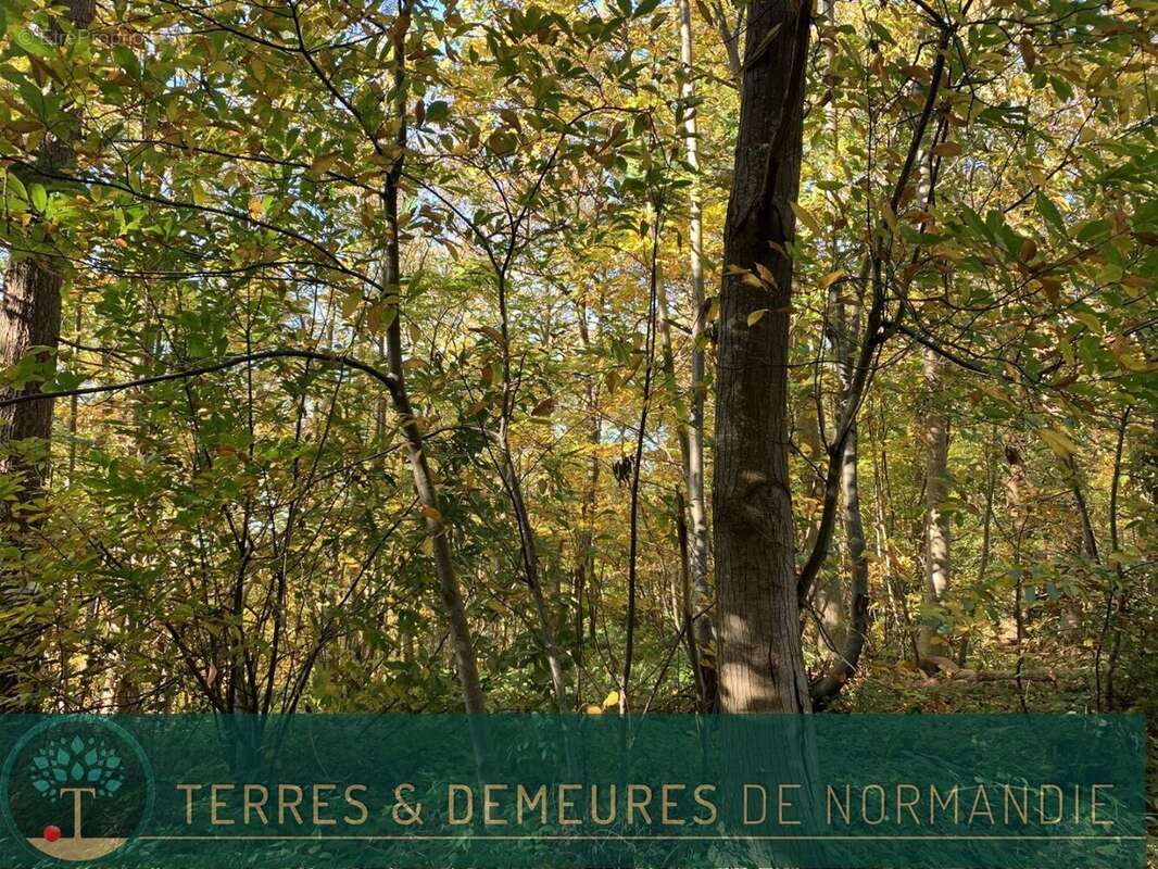 Terrain à BEUZEVILLE