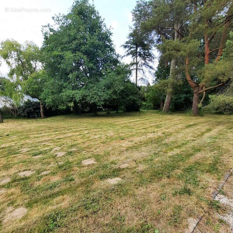 Maison 156 m² à Vigneux-De-Bretagne  - photo 2