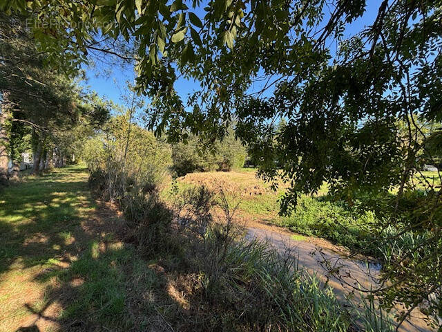 Terrain à TALMONT-SAINT-HILAIRE