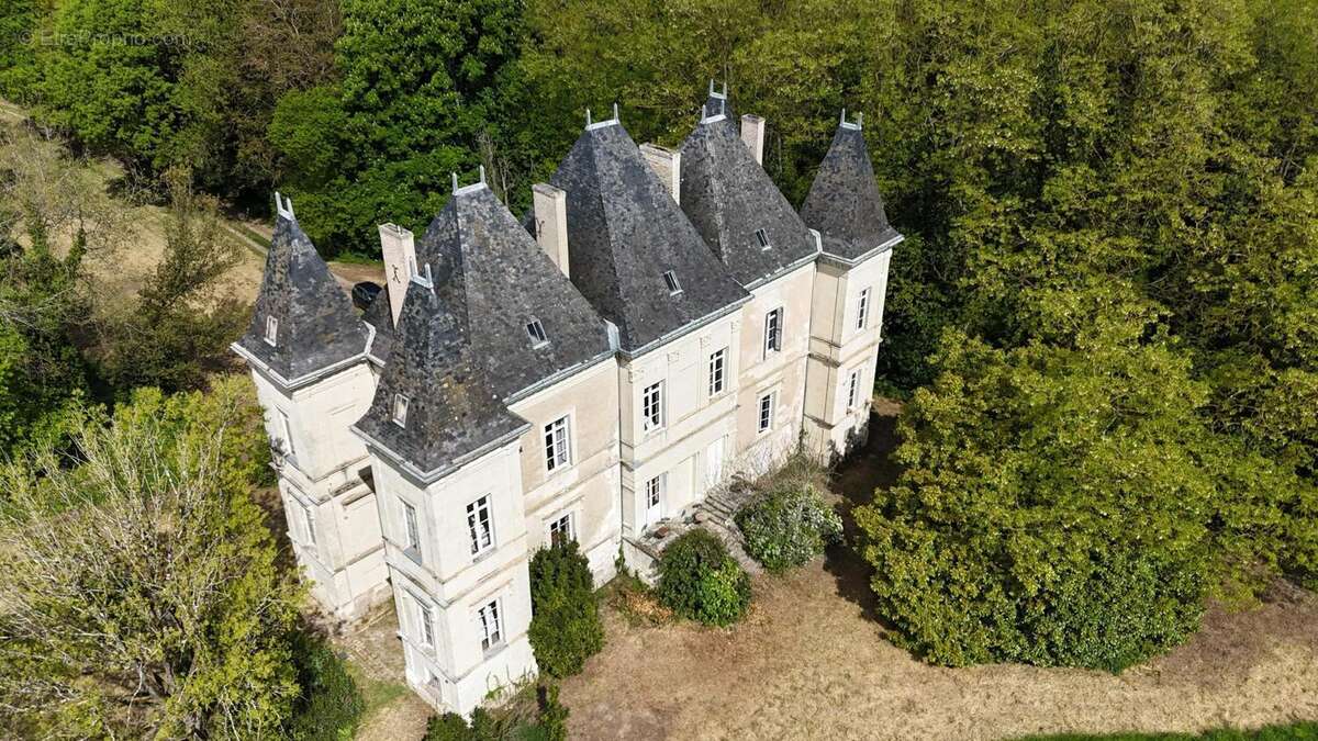 333 m² à Neuille  - photo 3