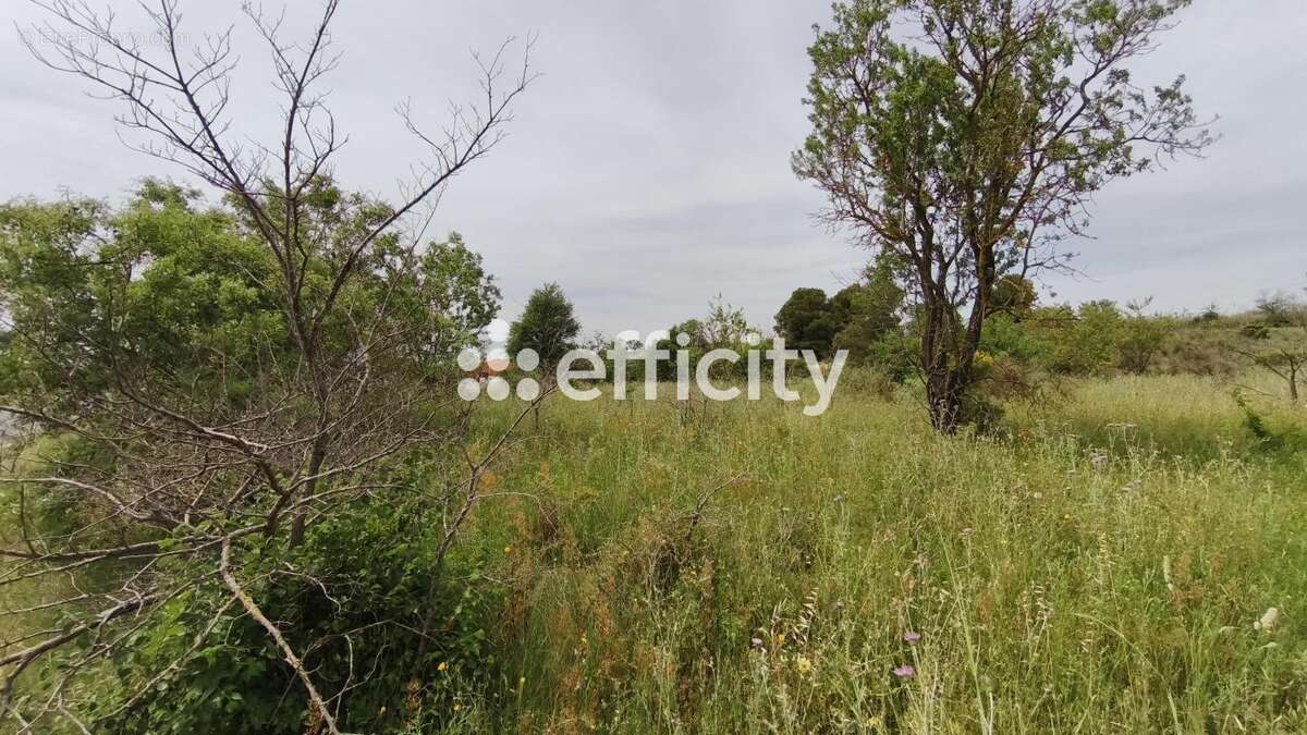 Terrain à NISSAN-LEZ-ENSERUNE