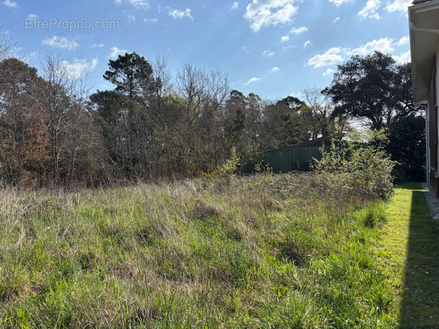 Terrain à SEIGNOSSE