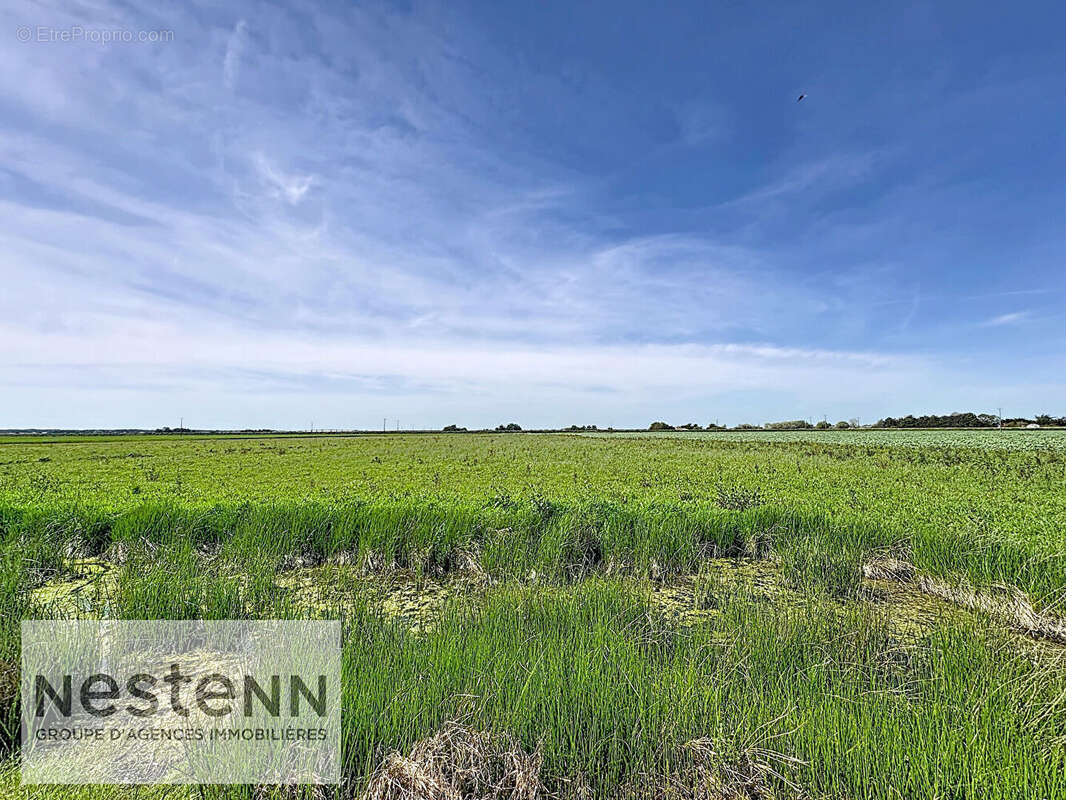 Maison à BEAUVOIR-SUR-MER
