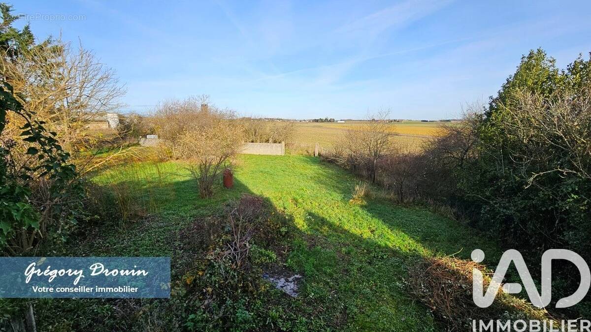 Photo 1 - Maison à SAINT-LOUP-DES-VIGNES
