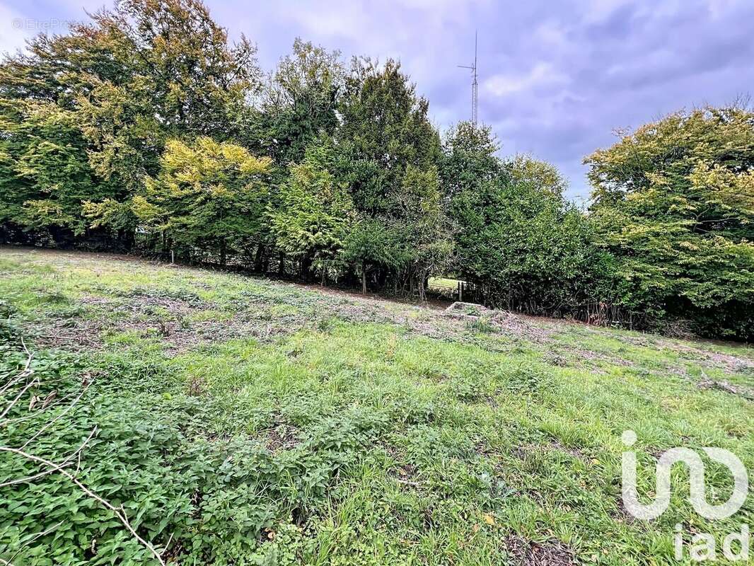 Photo 3 - Terrain à SAINT-MARTIN-DU-VIVIER