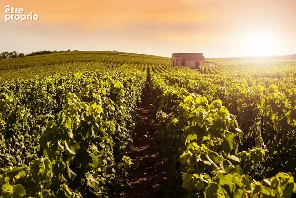 Photo Terrain à La Roche-Sur-Yon au prix de 102 000€