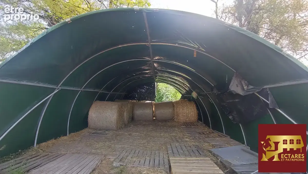 Propriété sans voisins 3,4 hectares - photo 17
