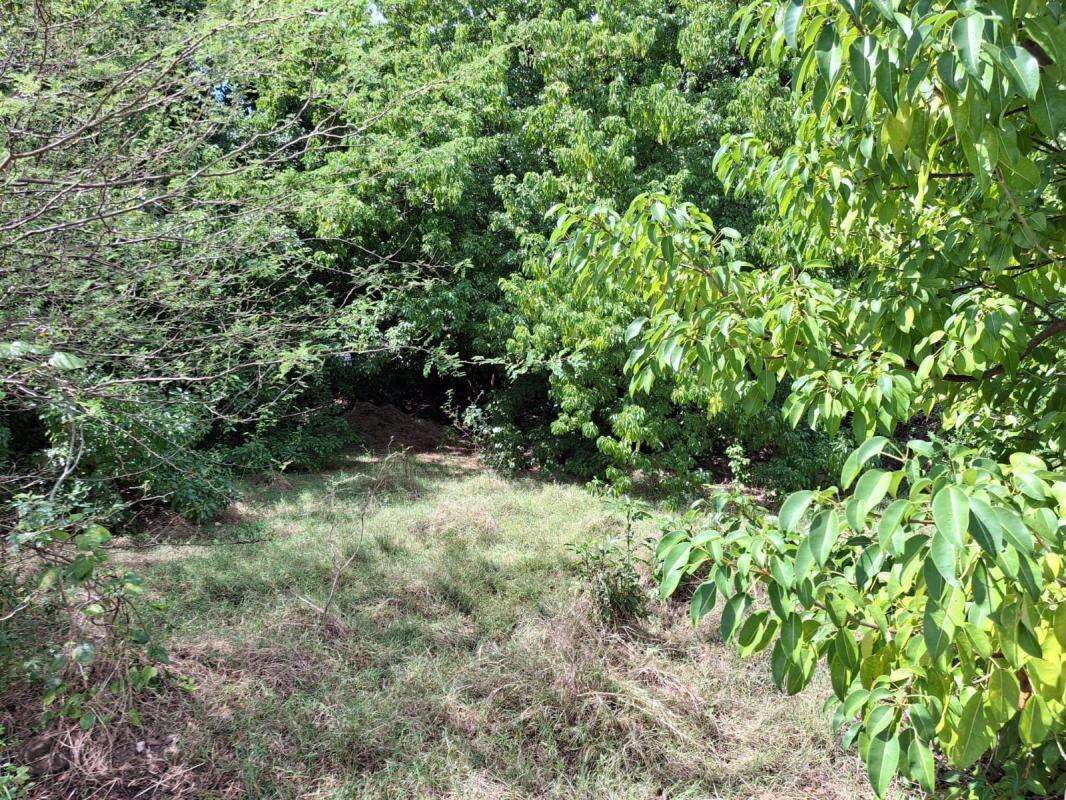 Terrain à TERRE-DE-BAS