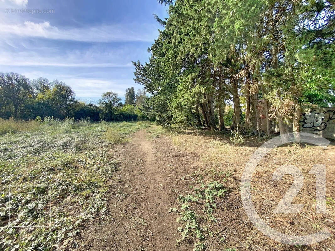 Terrain à TOULOUGES