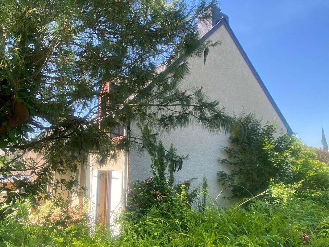 Photo 6 - Maison à RENNES