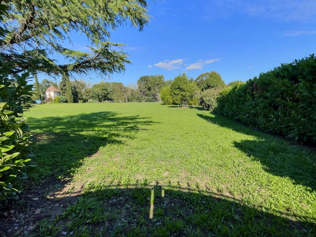 Terrain à LAVAUR