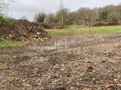 Terrain à SAINT-LYPHARD