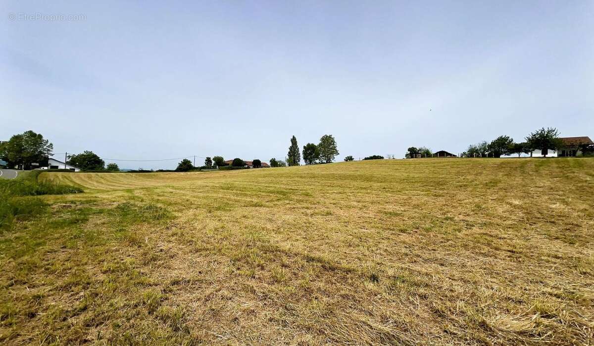 Terrain à SAINT-PALAIS
