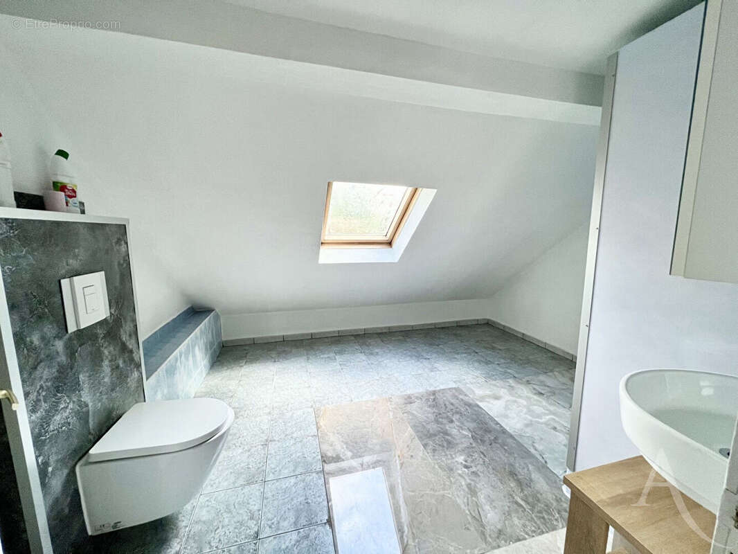 Immeuble Mixte Forbach185 m2 - photo 2