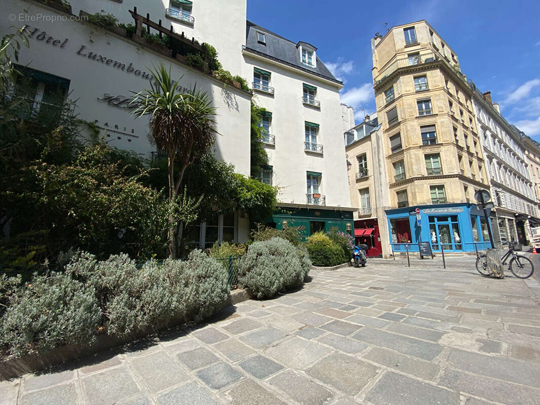 Paris 6e arrondissement - Quartier Saint-Sulpice - Atelier de 84 m2 - photo 11