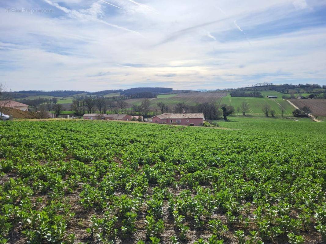 Terrain à PUYCASQUIER