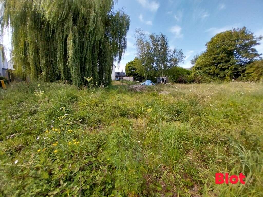 Terrain 769 m² à Cancale  - photo 4