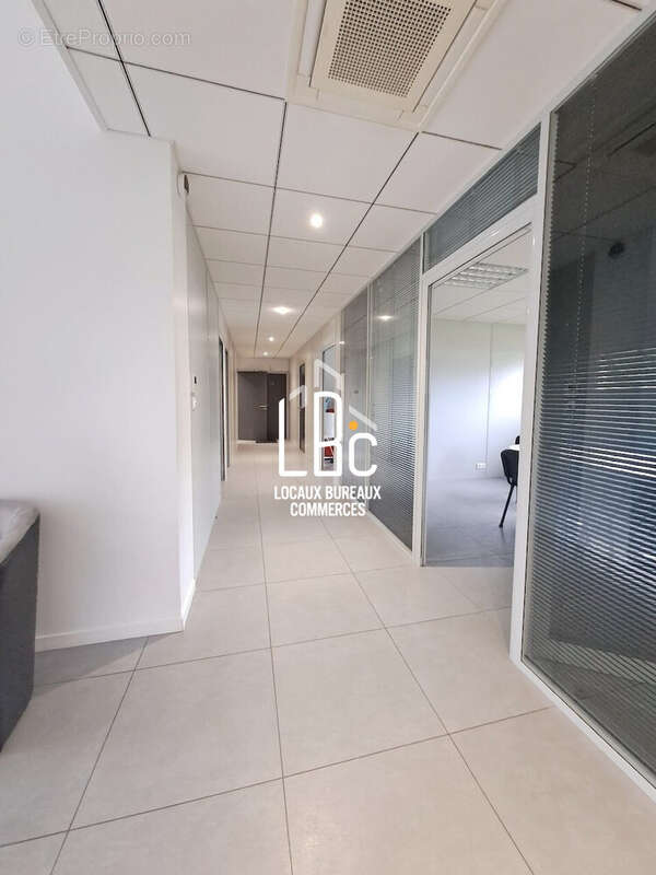 Commerce à REMOUILLE