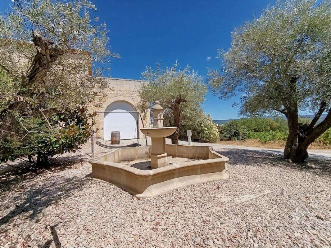 Propriété viticole - photo 4