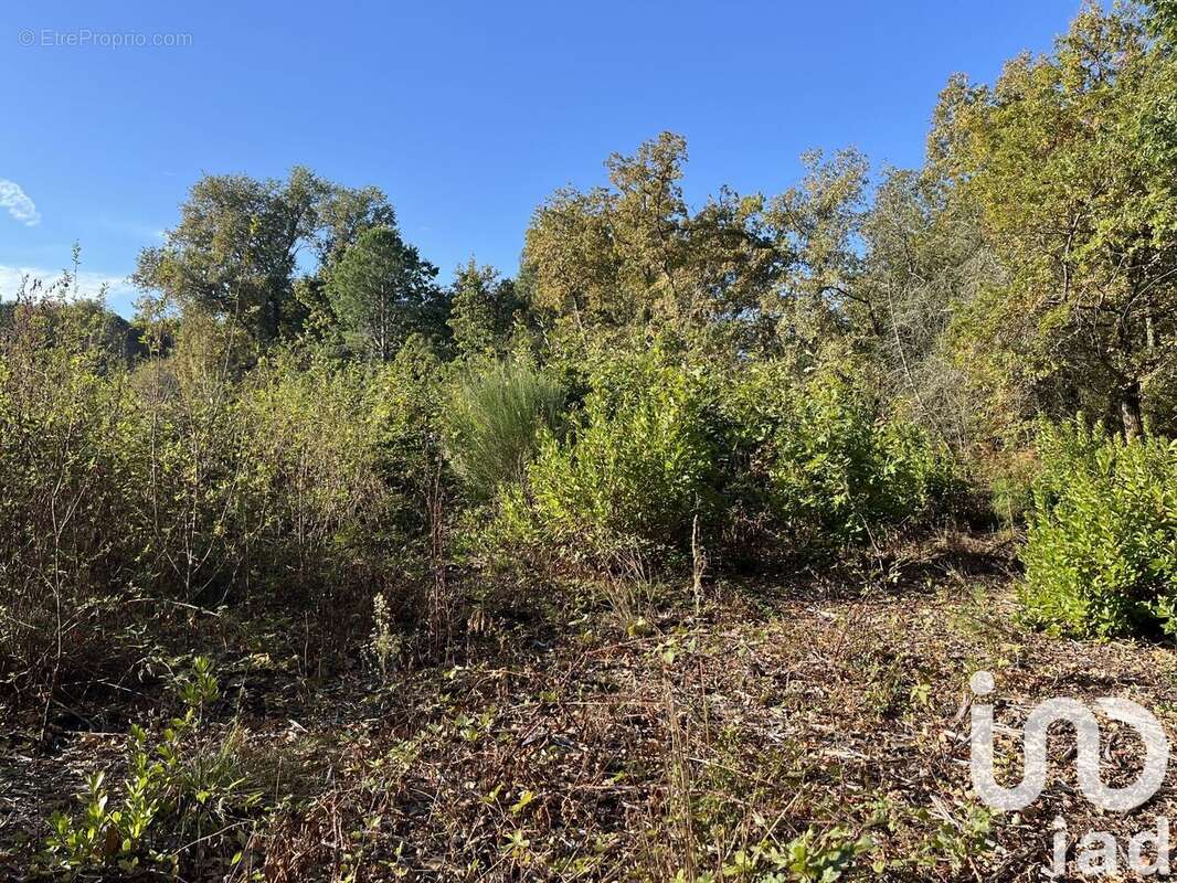 Photo 3 - Terrain à LA BREDE