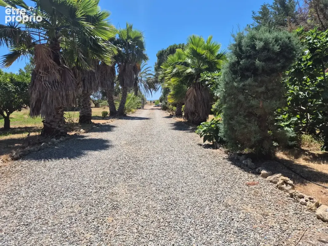 Aléria – vadina  maison 118 m² sur 3 200 m² de terrain à 2 km de la mer – fort potentiel investisseur - photo 8