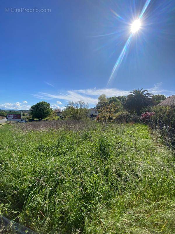 Terrain à ORTHEZ