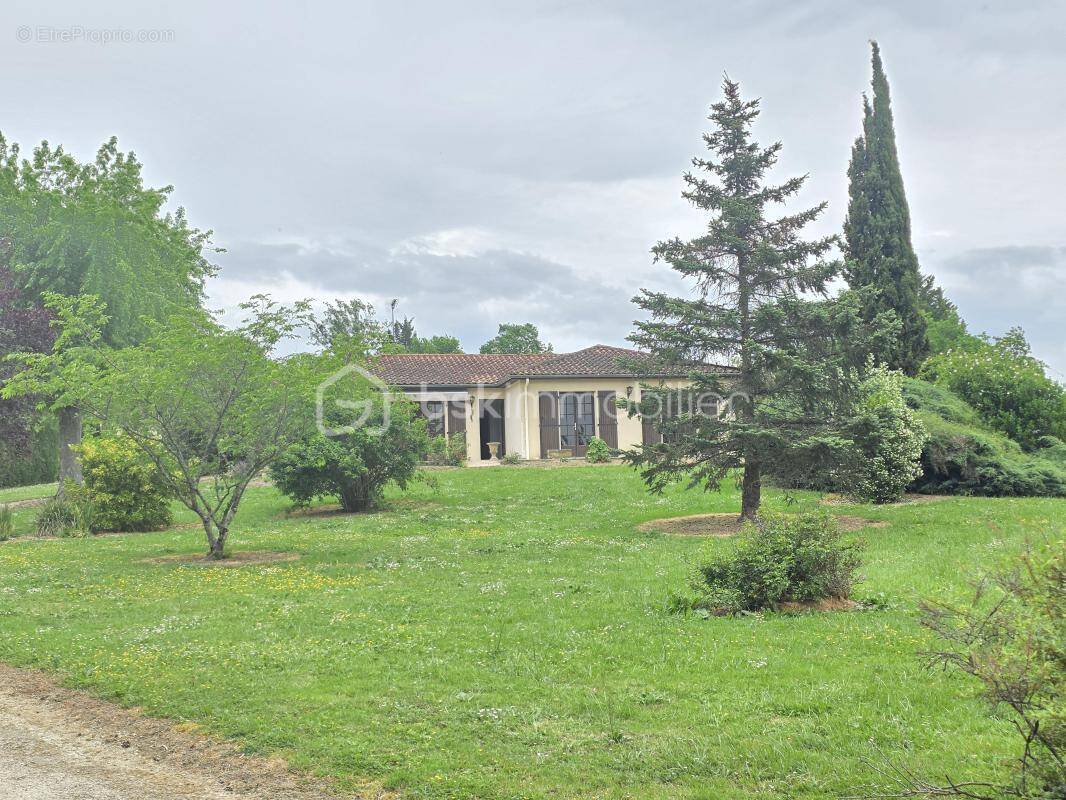 Maison à MONCAUT