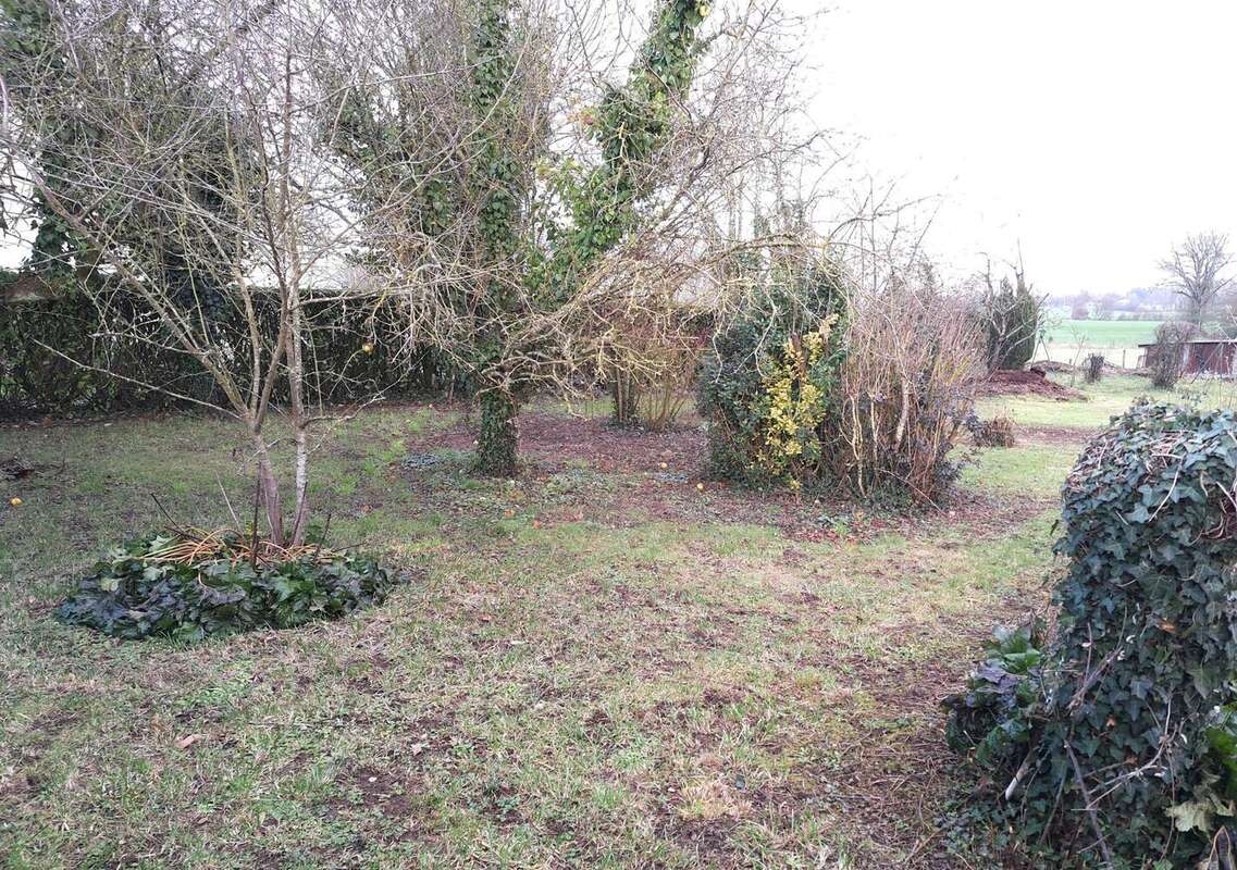 Photo 3 - Terrain à LOUVIGNE-DE-BAIS