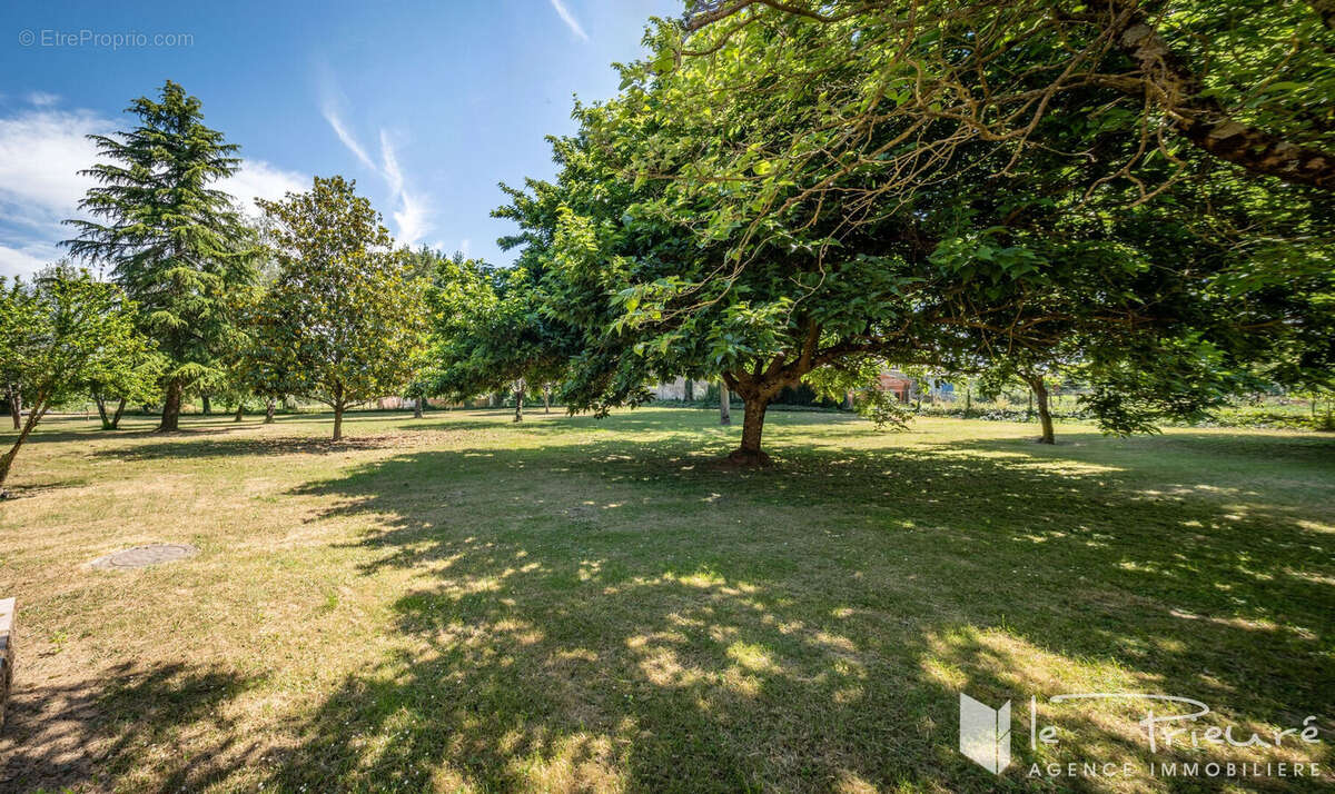 Propriété Familiale sur un parc magnifiquement arboré à Proximité immédiate d'Albi - photo 7