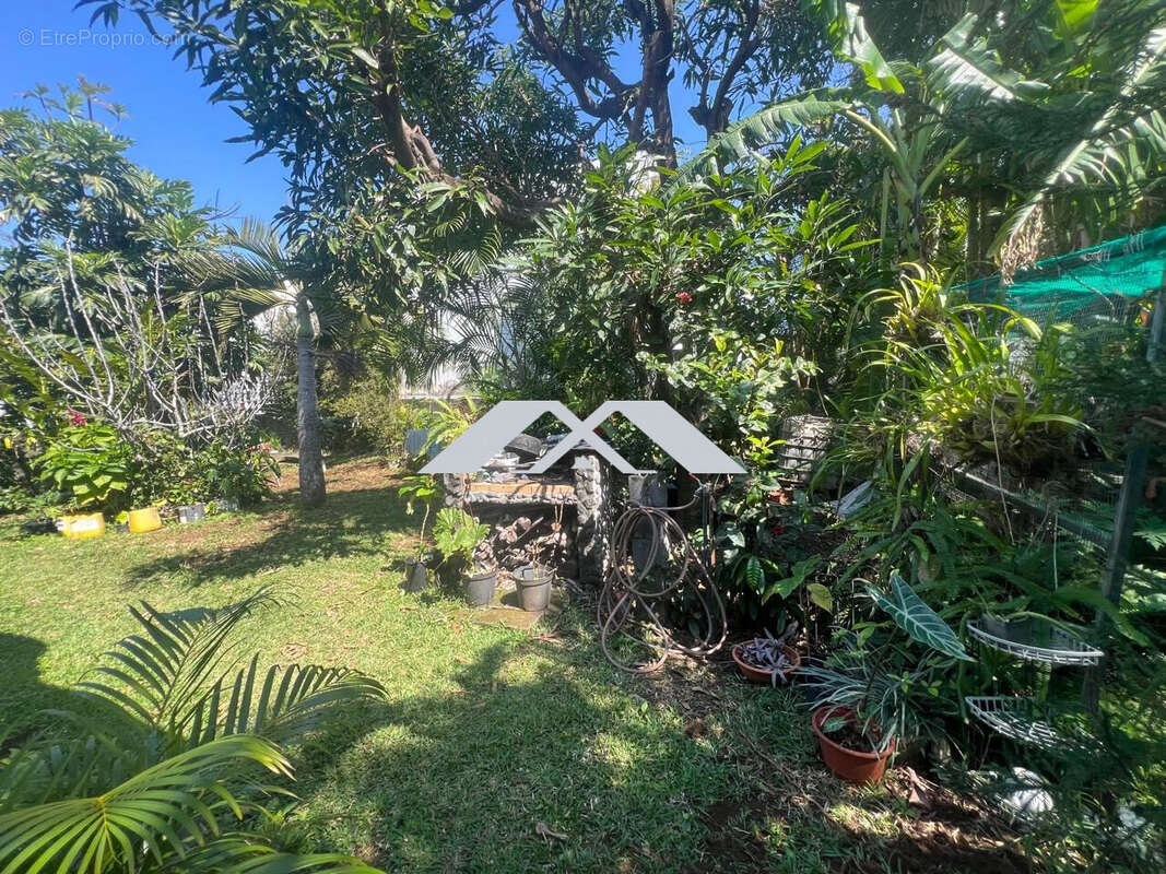 Maison à SAINT-JOSEPH