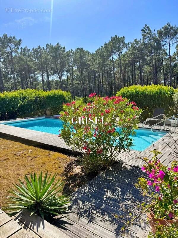 Cap-ferret – élégante villa avec piscine dans un écrin de verdure - photo 7