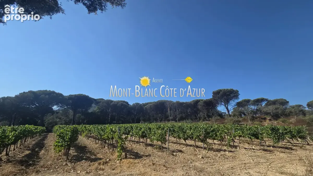 Plan de la tour domaine viticole + 2 maisons mitoyennes - photo 28