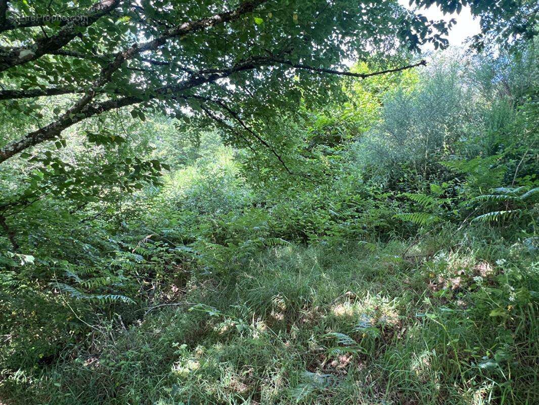 Terrain à SAINT-YRIEIX-LA-PERCHE