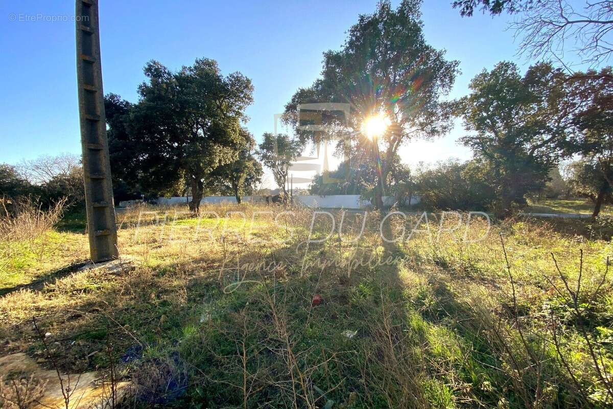 Terrain à SAINT-QUENTIN-LA-POTERIE