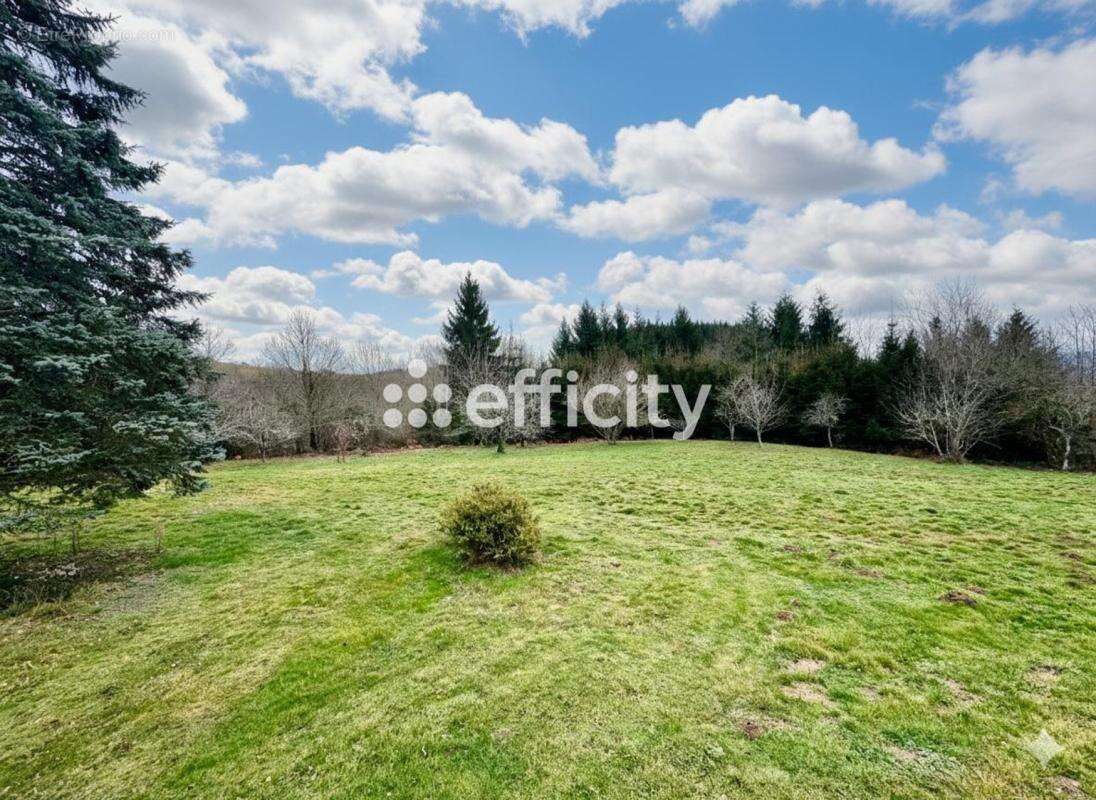 Maison 152 m² à Thiers  - photo 13