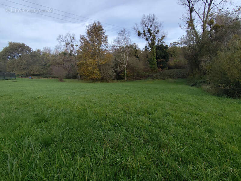 Terrain constructible 4714m2 Le Tâtre (16360) - photo 4