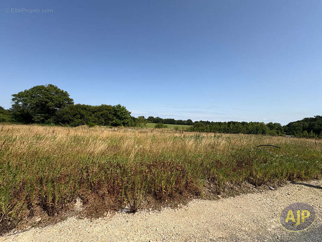 Apremont Terrain  374 m2 - photo 2
