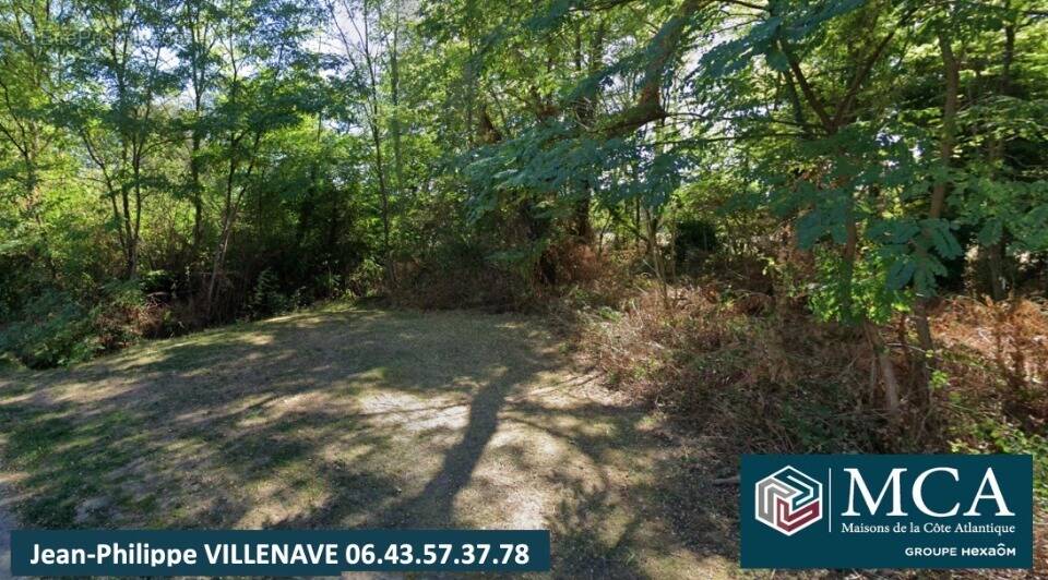 Terrain à SAINT-PIERRE-DU-MONT