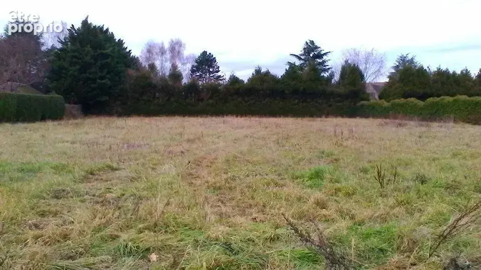 Terrain 232 m² à L'hay-Les-Roses  - photo 3
